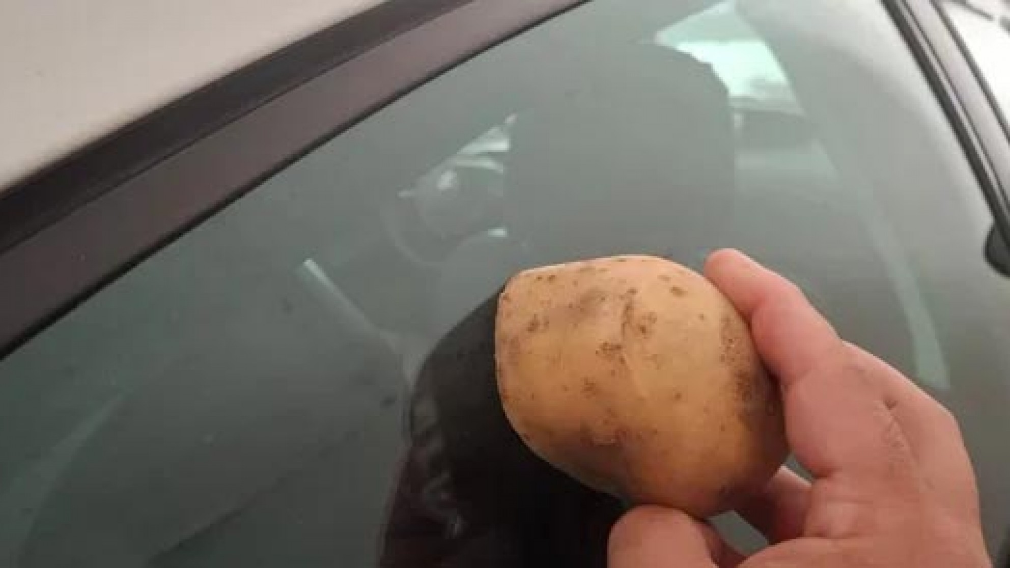 Cómo dejar relucientes los vidrios del auto con el truco de la papa después de la lluvia